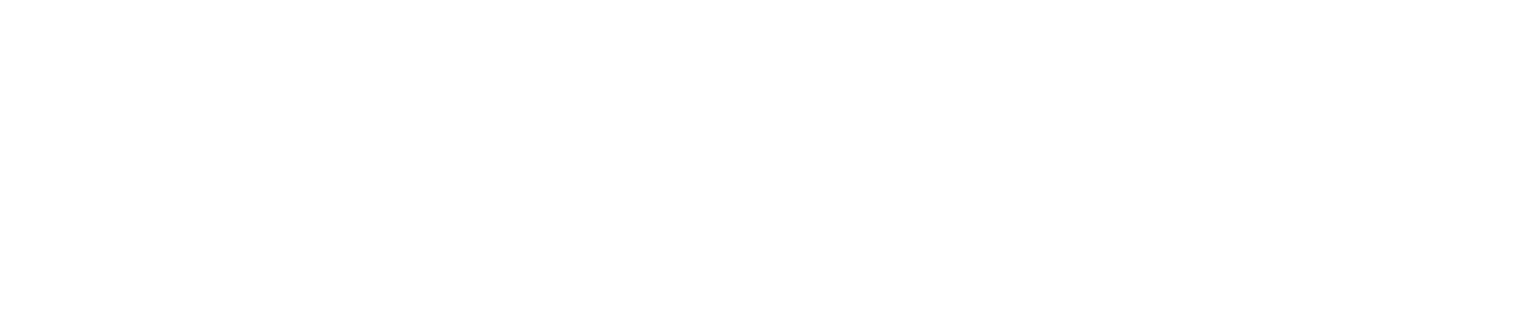 logo footer msd
